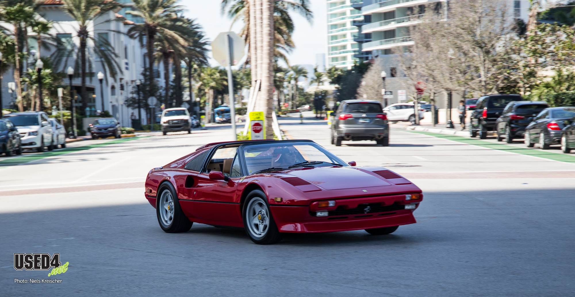 My Flo Rida: Von Krokodilen und Klischees Teil I