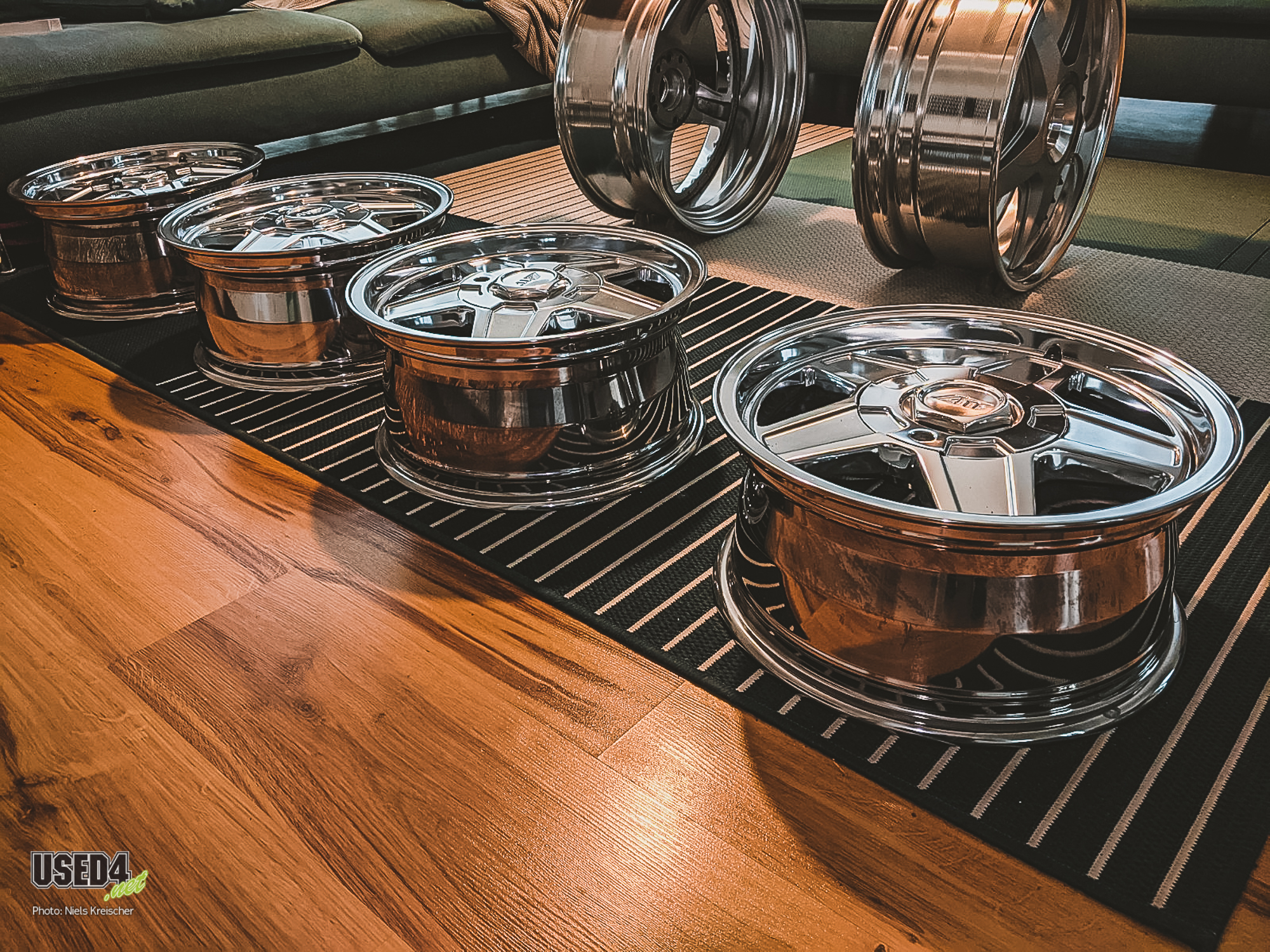 Bluebird Diaries Part 2