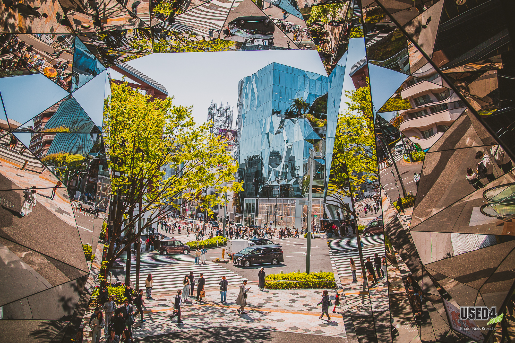 Sakura Special #1 🌸 Tokyo Streets