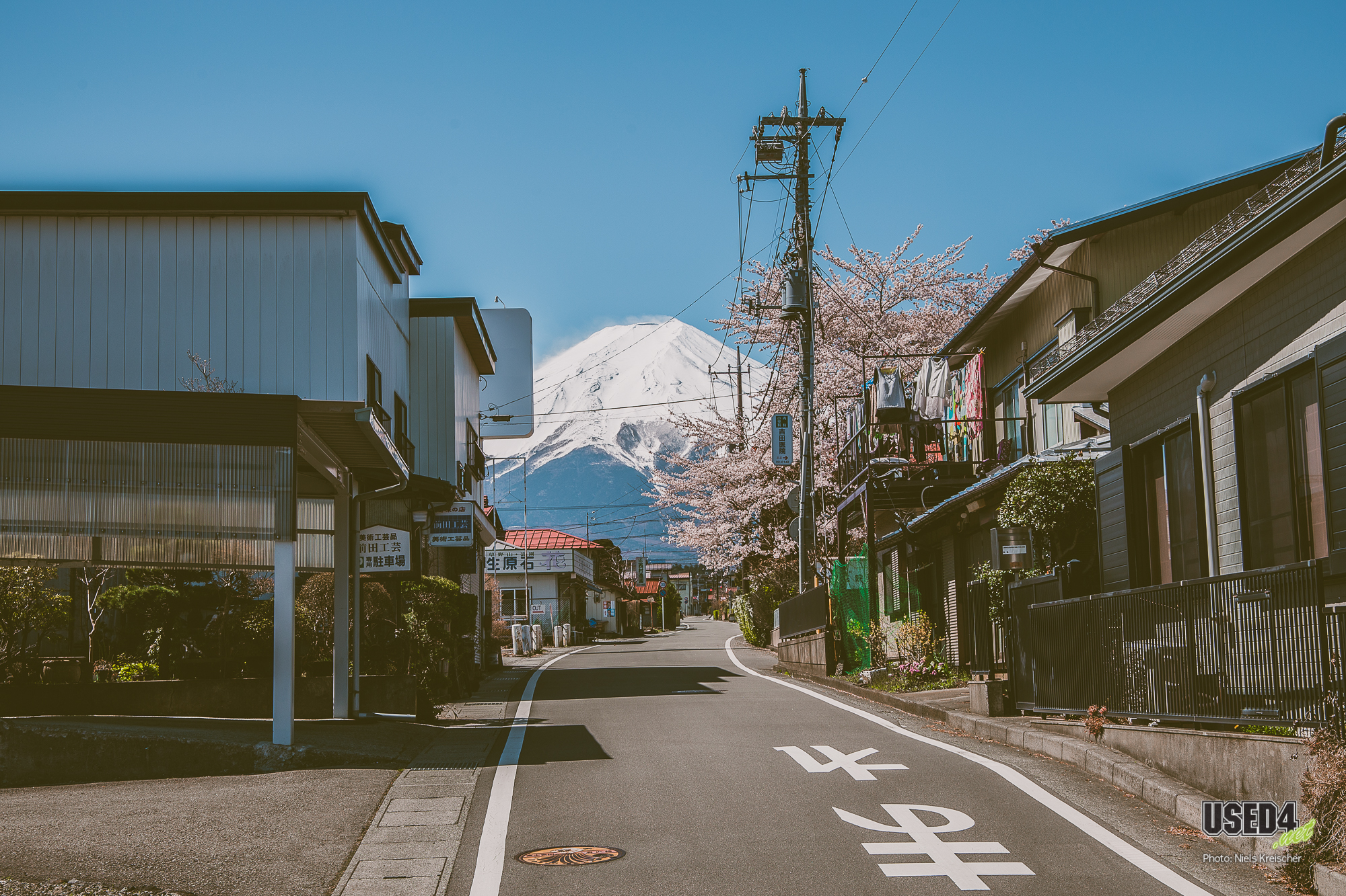 Sakura Special #6 🌸 Yamanakako-See und Chureito-Pagode 🏯