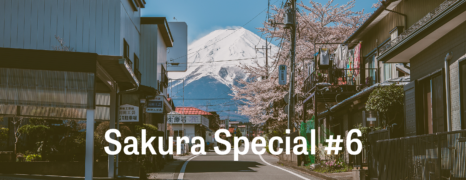 Sakura Special #6 🌸 Yamanakako-See und Chureito-Pagode 🏯