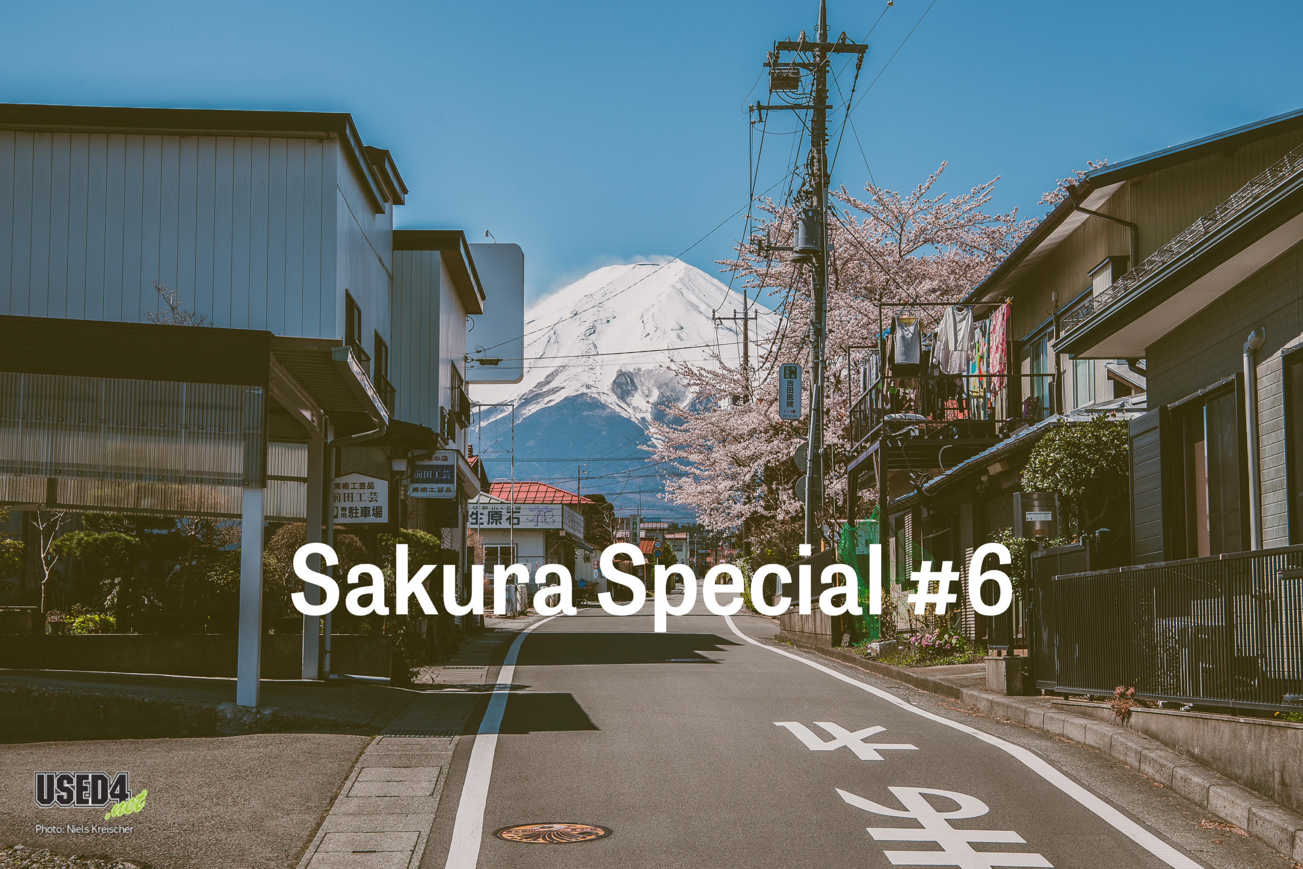 Sakura Special #6 🌸 Yamanakako-See und Chureito-Pagode 🏯