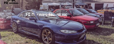 FQ normies fab picnic 2026 🐐